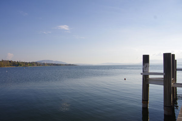 Race stand up paddle Tougues chens sur Leman